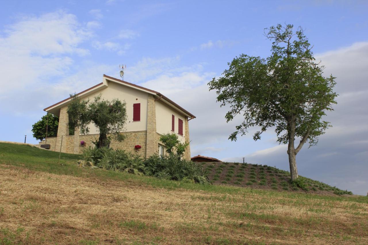 Villa Edelia Mondavio Buitenkant foto